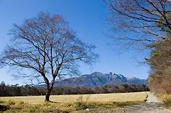 森と渓谷の自然道をはずれて北上します