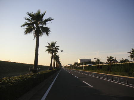 11-24d.jpg