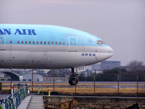 050210名古屋空港・韓国機機首と田圃.jpg