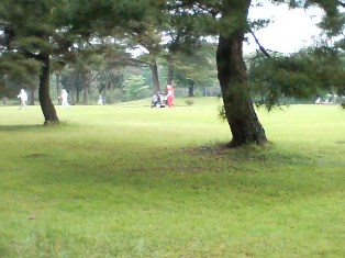 フォアキャディー