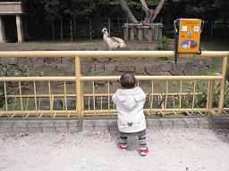 動物公園8