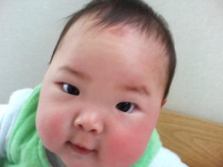 おでこすりすり