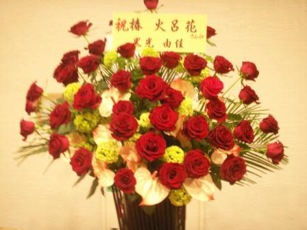 2009/4/17ねったんさんの花