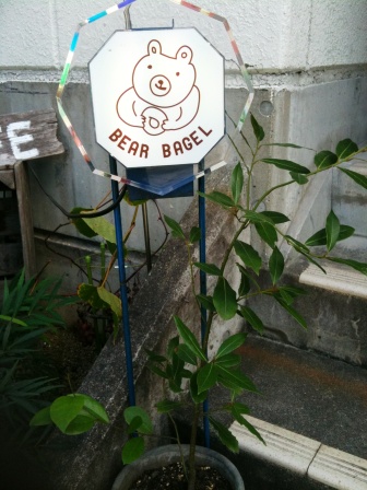 2010/10/7看板クマ