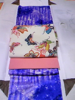 2008/3/28むら染と蝶々