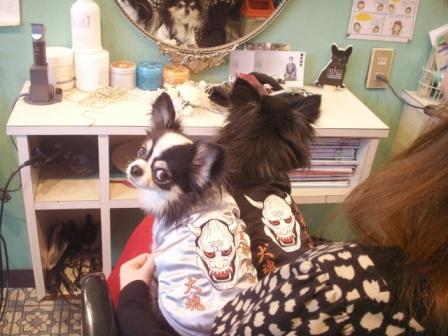2009/2/18犬魂２