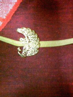 2008/1/24孔雀帯留