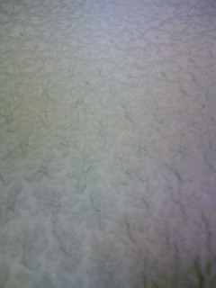 2008/2/8色無地模様