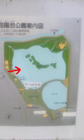 2008/9/20昆陽池案内図