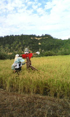 20070924091920.jpg