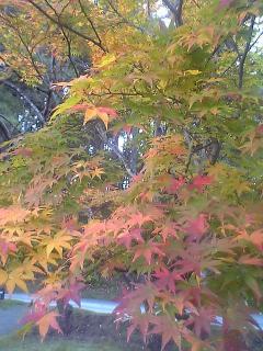 trip of Misawa 045.jpg
