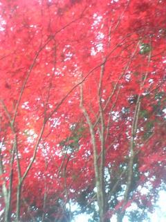 trip of Misawa 049.jpg
