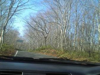 trip of Misawa 089.jpg