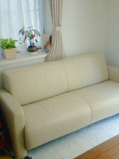 sofa