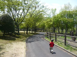 自然牧場公園