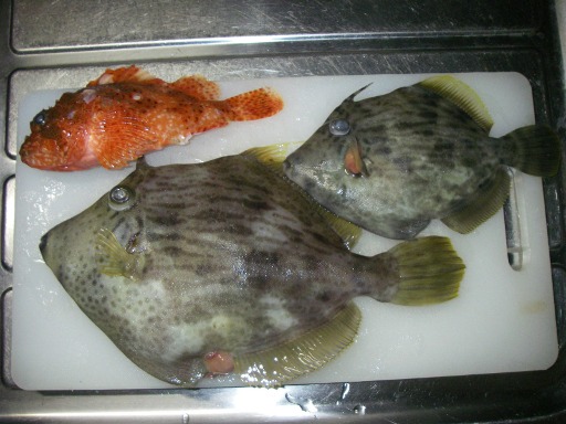 0117kawa01.JPG