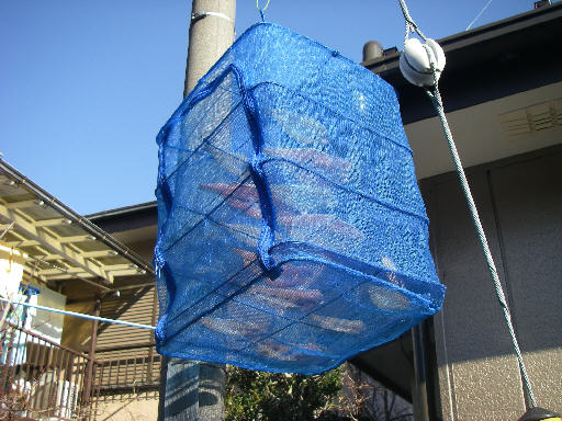 2008matsu03.jpg