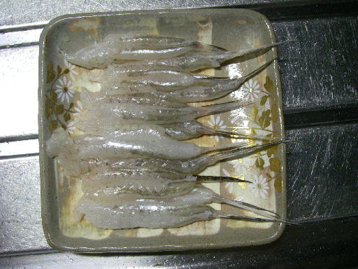080517kisu07.jpg