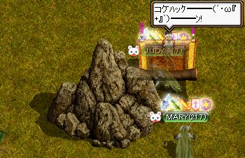 薬師クエ（コケ.JPG