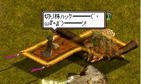 薬師クエ（切り株.JPG