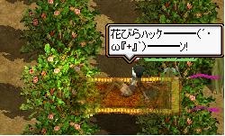 薬師クエ（ツツジ.JPG