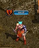 紋章secil.JPG