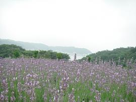IMGP5368.JPG