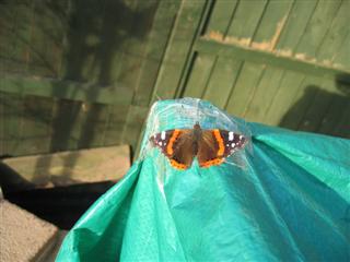 IMG_3076 (Custom).JPG