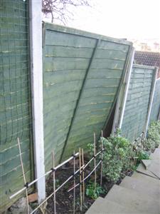 IMG_2872 (Custom).JPG