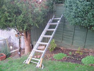 IMG_2869 (Custom).JPG