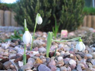 IMG_2847 (Custom).JPG