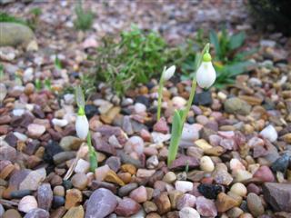 IMG_2811 (Custom).JPG