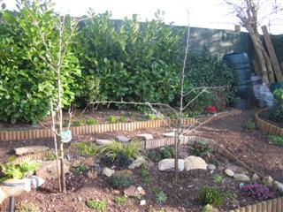 IMG_3074 (Custom).JPG