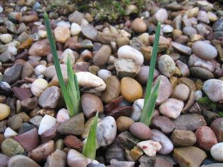 IMG_2812 (Custom).JPG