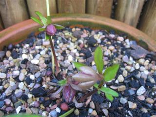 IMG_2834 (Custom).JPG