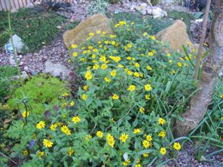 IMG_1959 (Custom).JPG