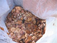 IMG_2163 (WinCE).JPG