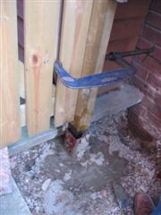 IMG_2919 (Custom).JPG