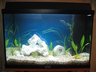 IMG_3122 (Custom).JPG