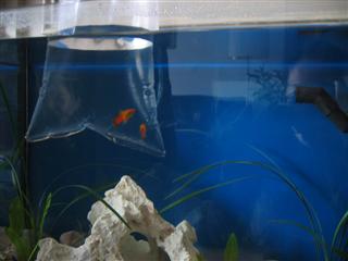 IMG_3164 (Custom).JPG