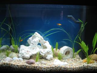 IMG_3165 (Custom).JPG