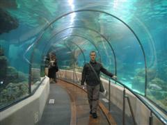 IMG_2529 (WinCE).JPG