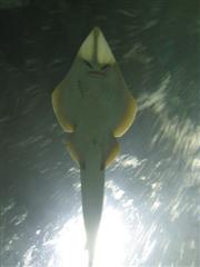 IMG_2528 (Custom).JPG