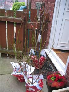 IMG_2623 (Custom).JPG