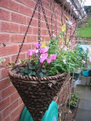 IMG_2132 (Custom).JPG