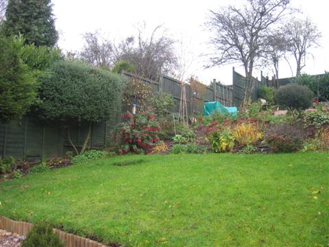 IMG_2136 (Custom).JPG