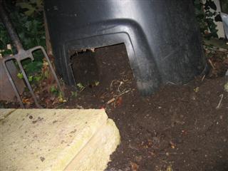 IMG_2561 (Custom).JPG