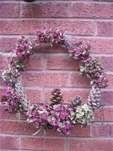 IMG_2566 (Custom).JPG