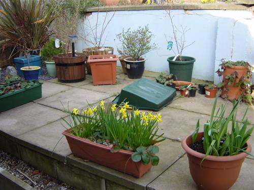 DSC03570 (Custom).JPG