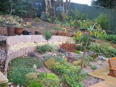 IMG_2140 (Custom).JPG